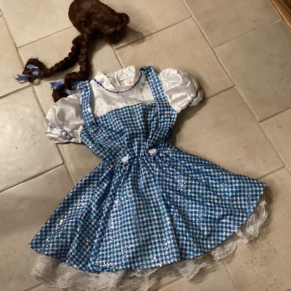 Wizard of Oz Dorothy Dress & Wig Child Size Medium